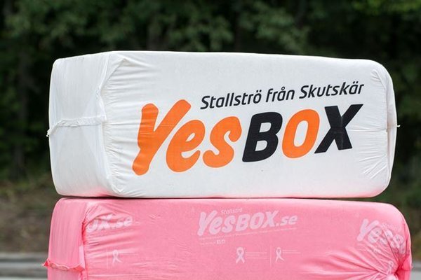 YesBox Standard